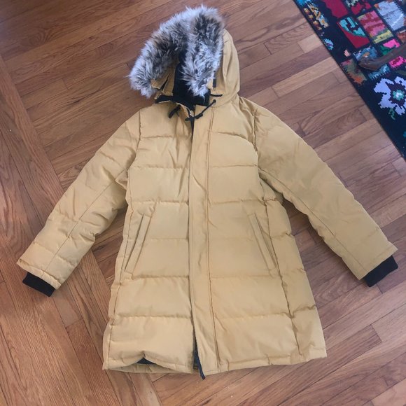 aritzia anton parka